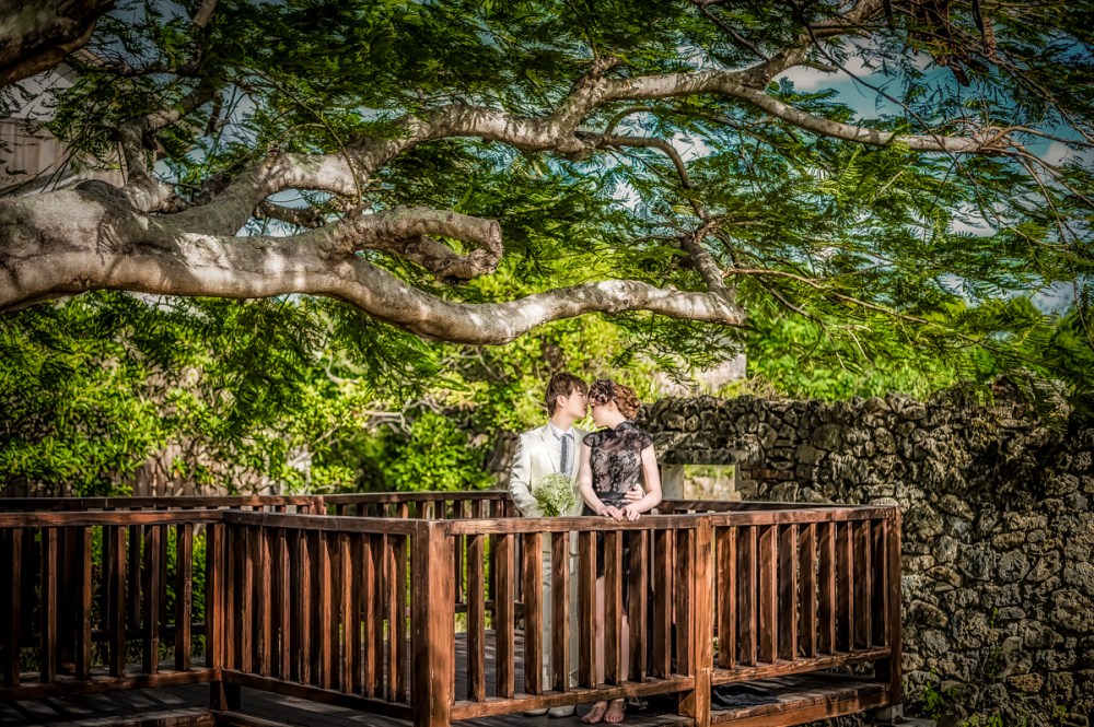 DSC_2022-編輯-編輯