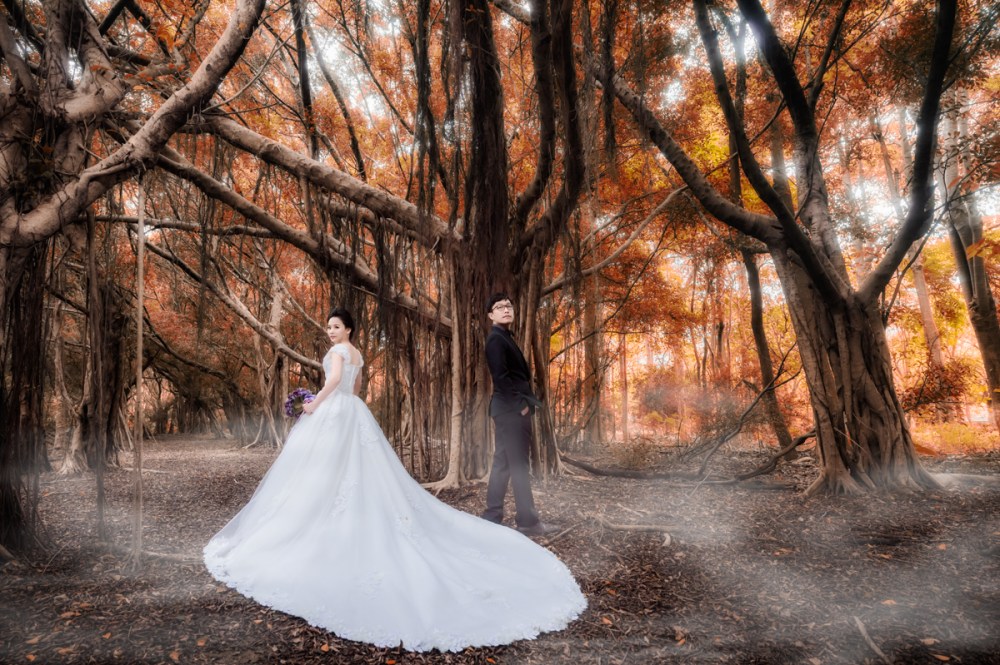 DSC_8748-編輯-編輯