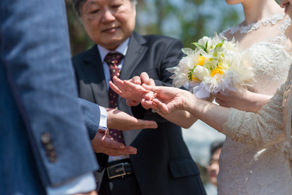 34016460683_e28d1b2117_o