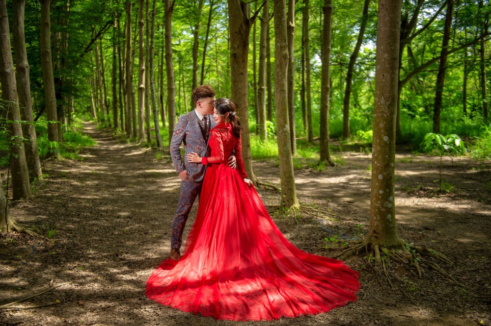 48265937446_f5155ea4ce_k