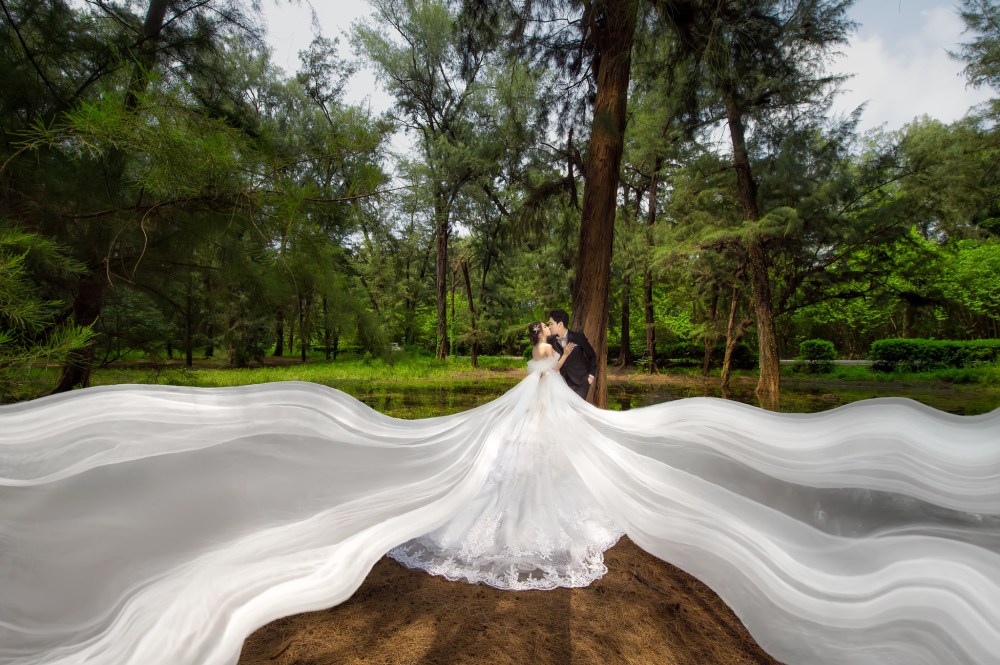 48305665807_79c90003ee_k