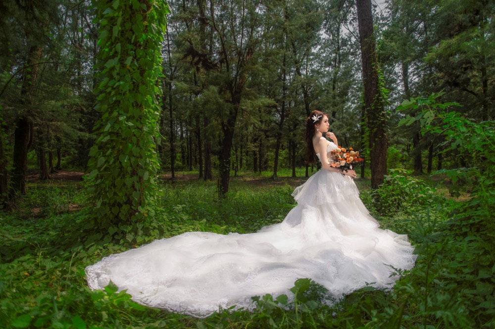 48308080056_330bb47830_k