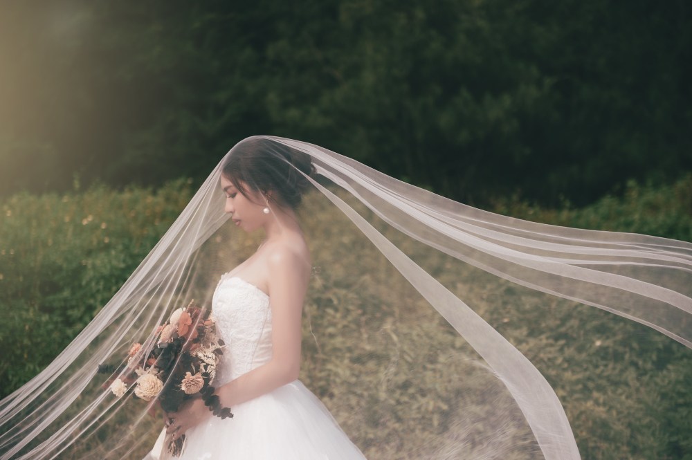 48308474546_d62d1371ef_k